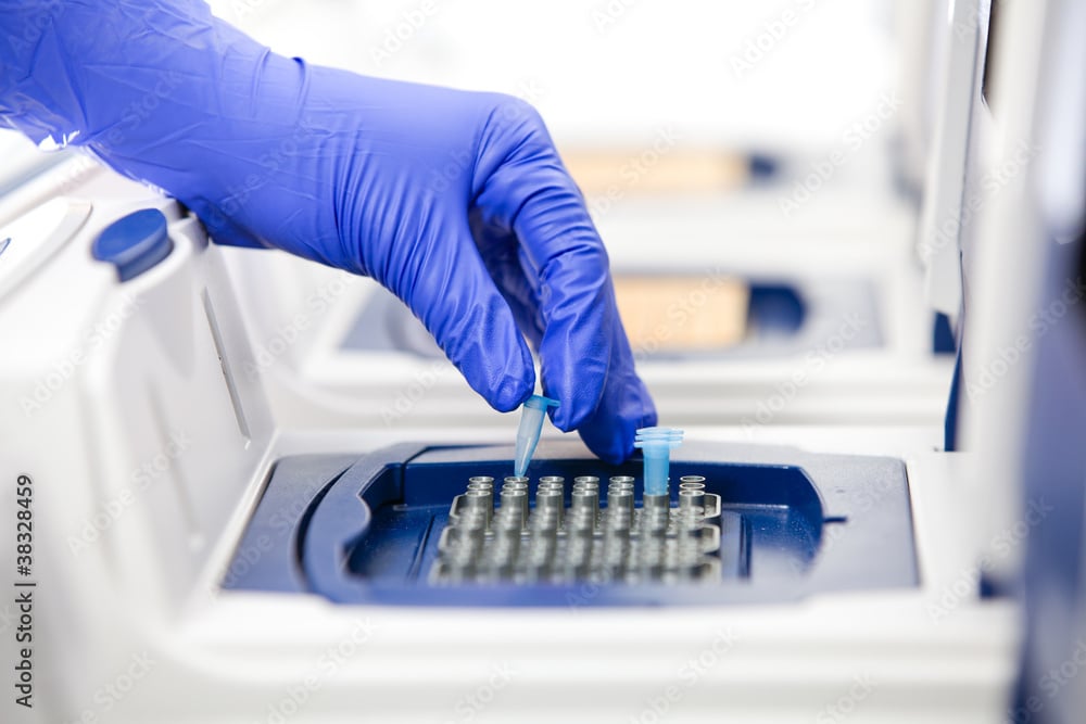 Person with blue glove on visually inspecting sample in very small vial