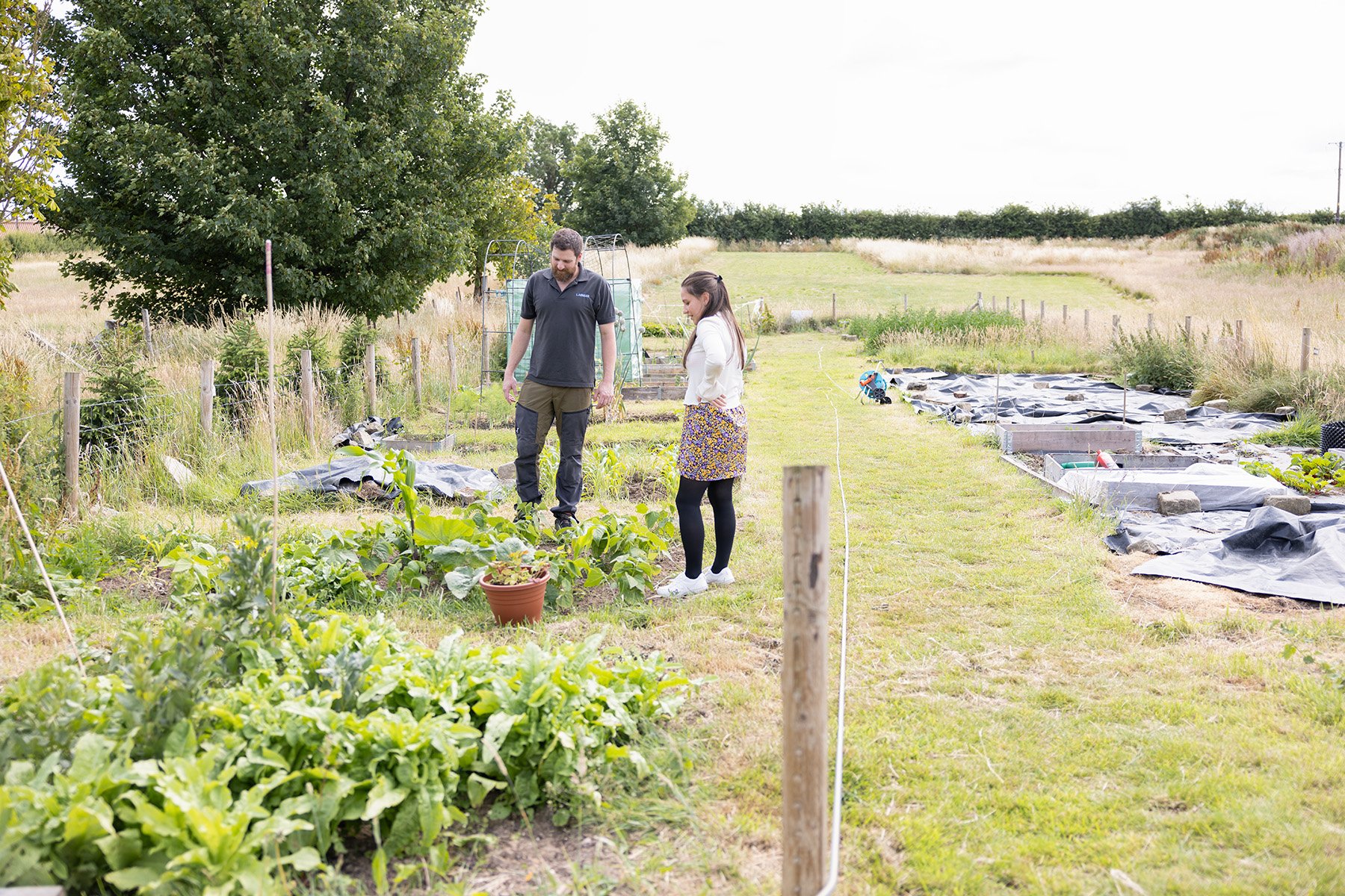 Two people standing in an allotment 