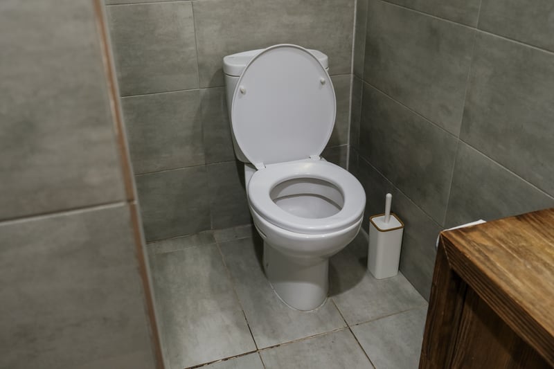 Guest's photo of the broken toilet