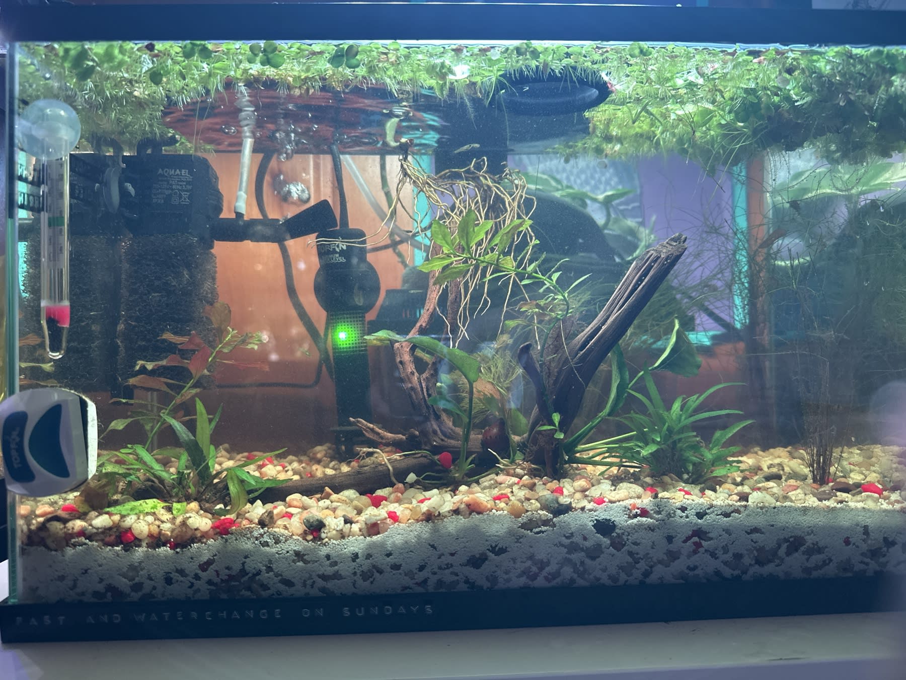 Endler Nursery