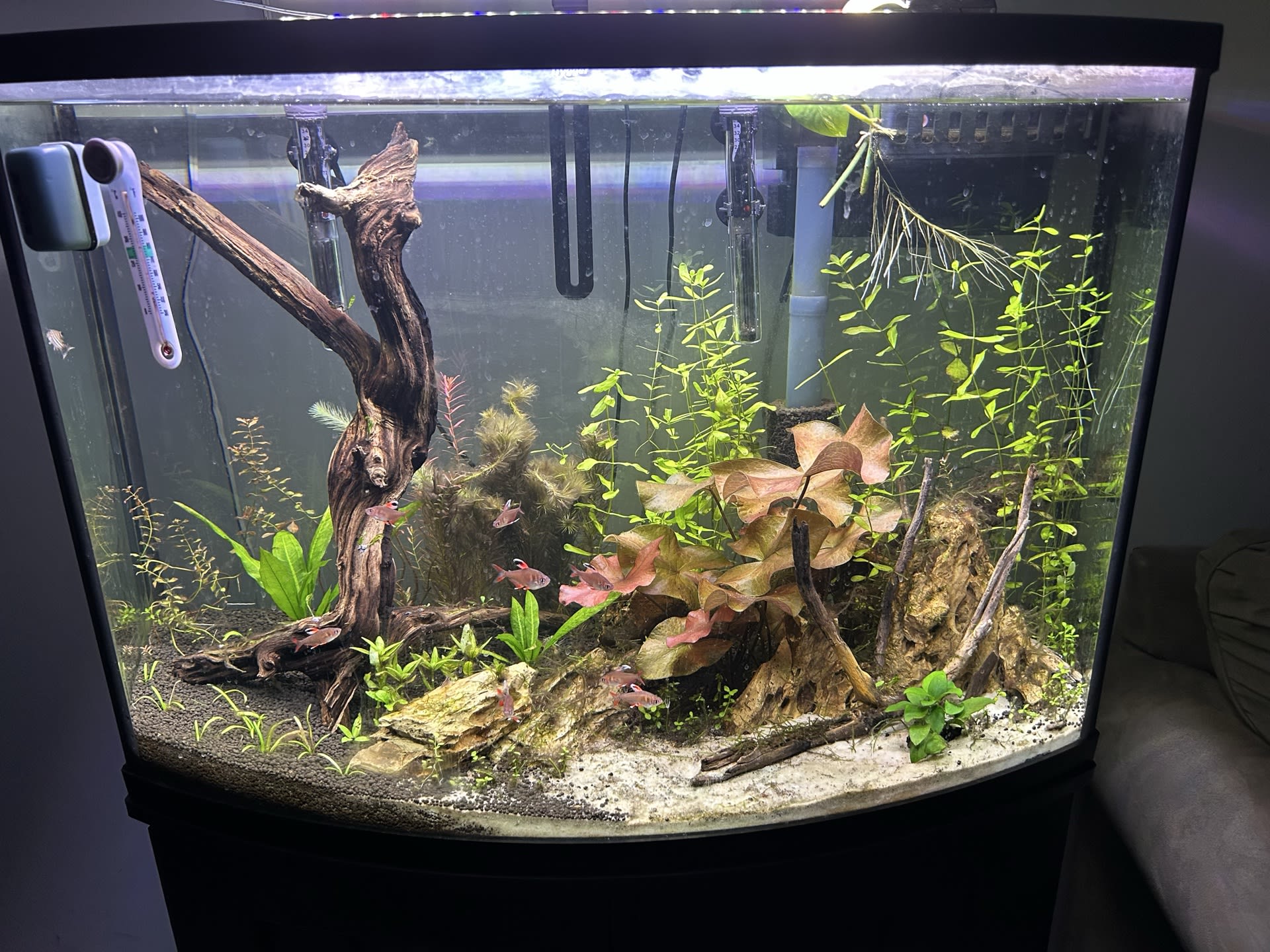 Update on the tank