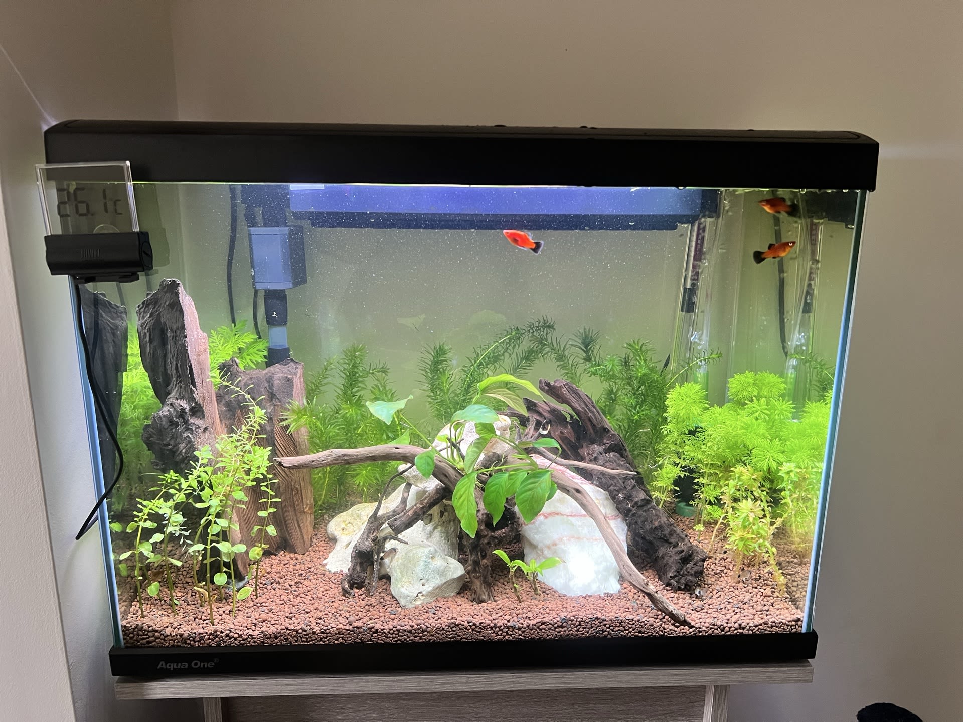 Rescape