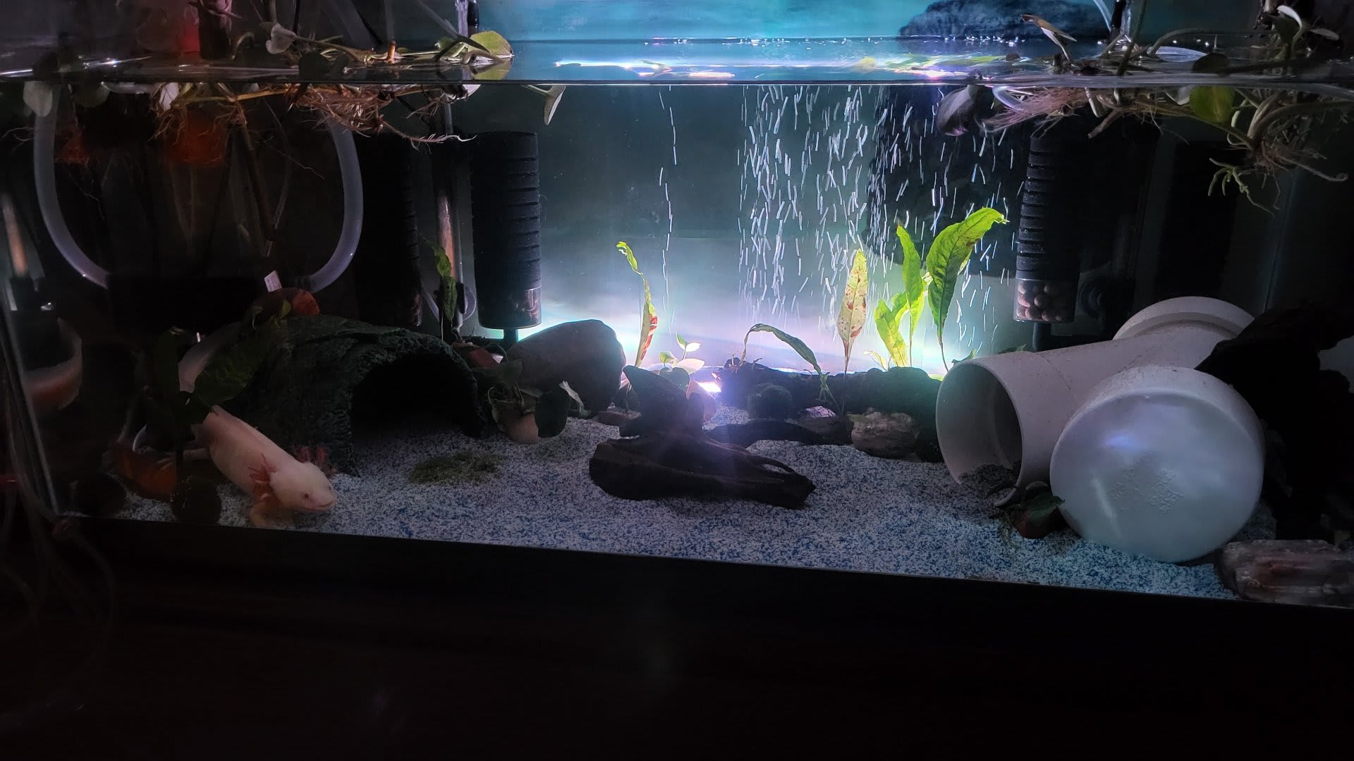 A Couple Small Additions