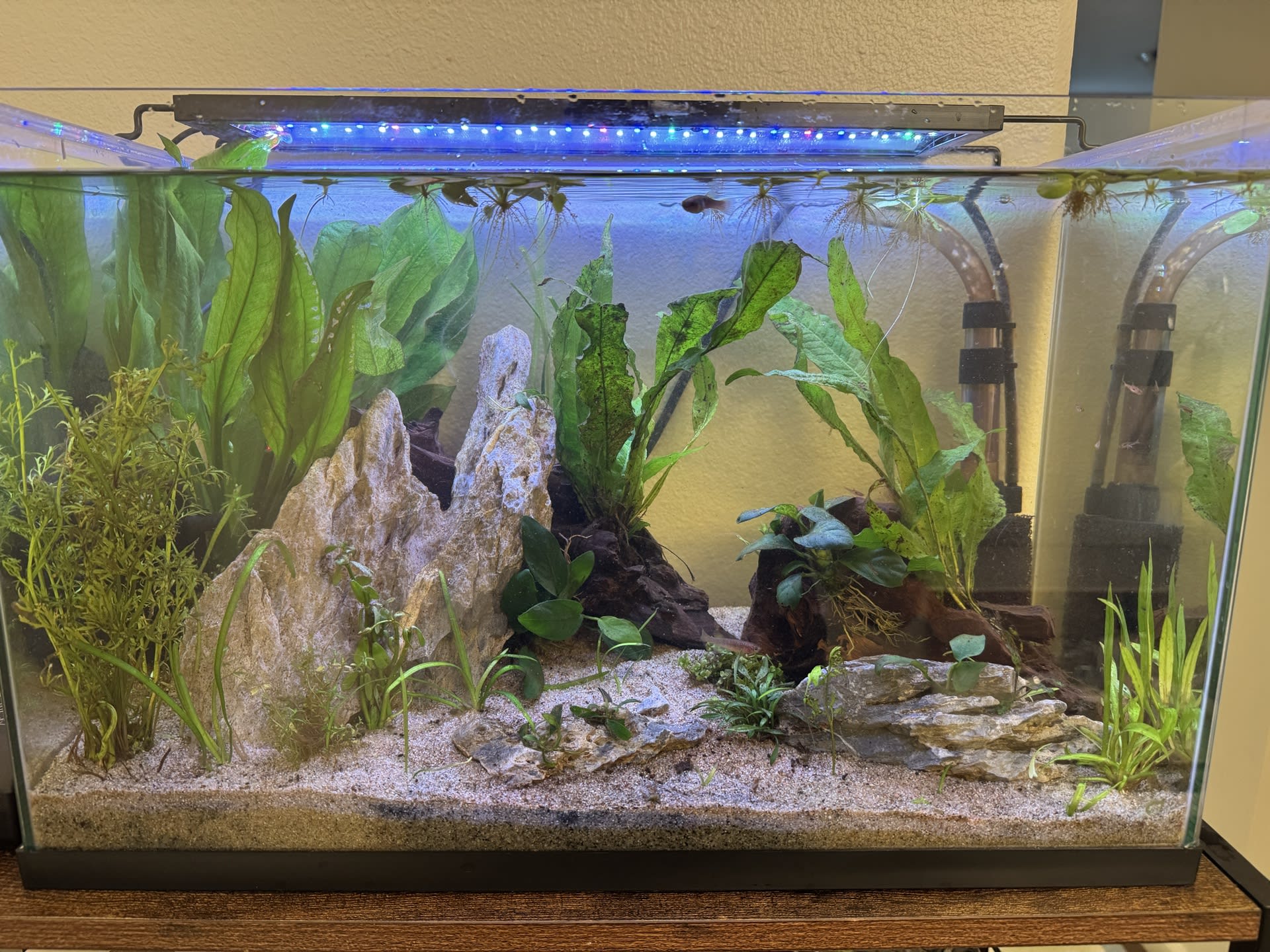 Updated Pics
