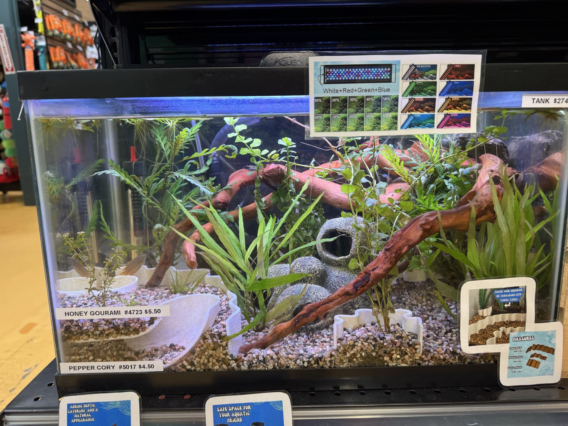 Aquascaping Display
