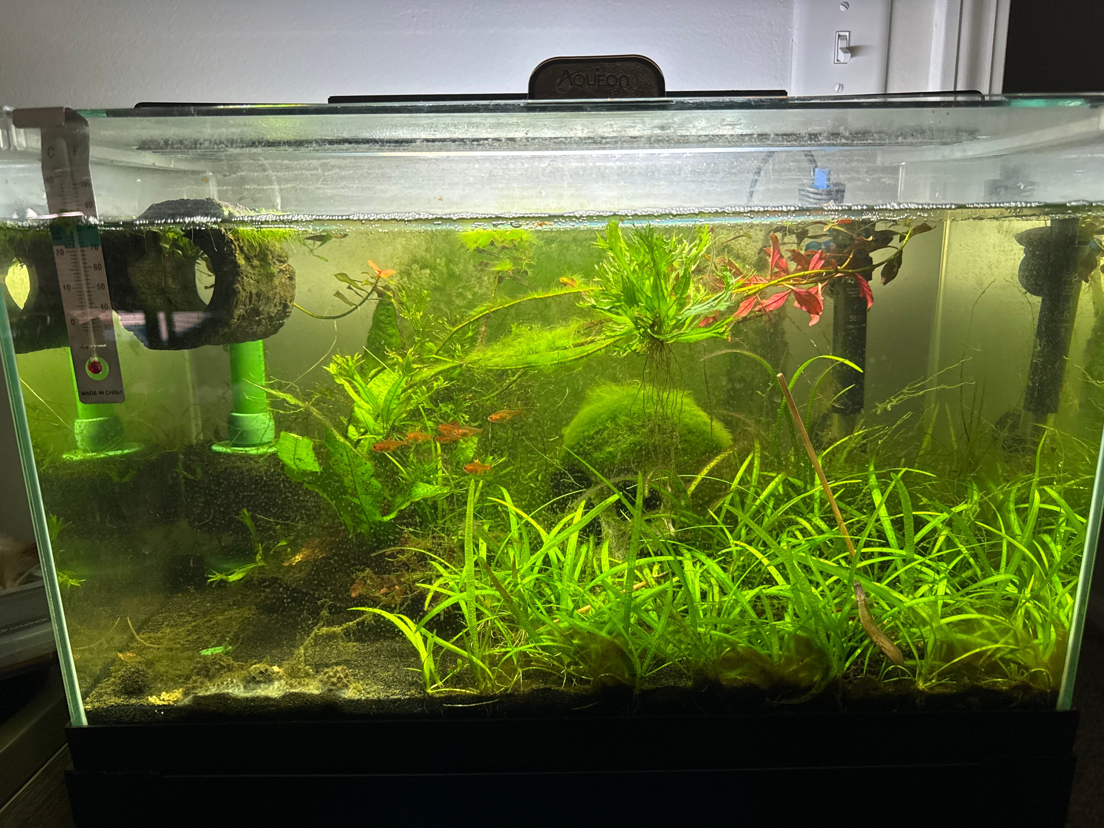 Gogurt's tank