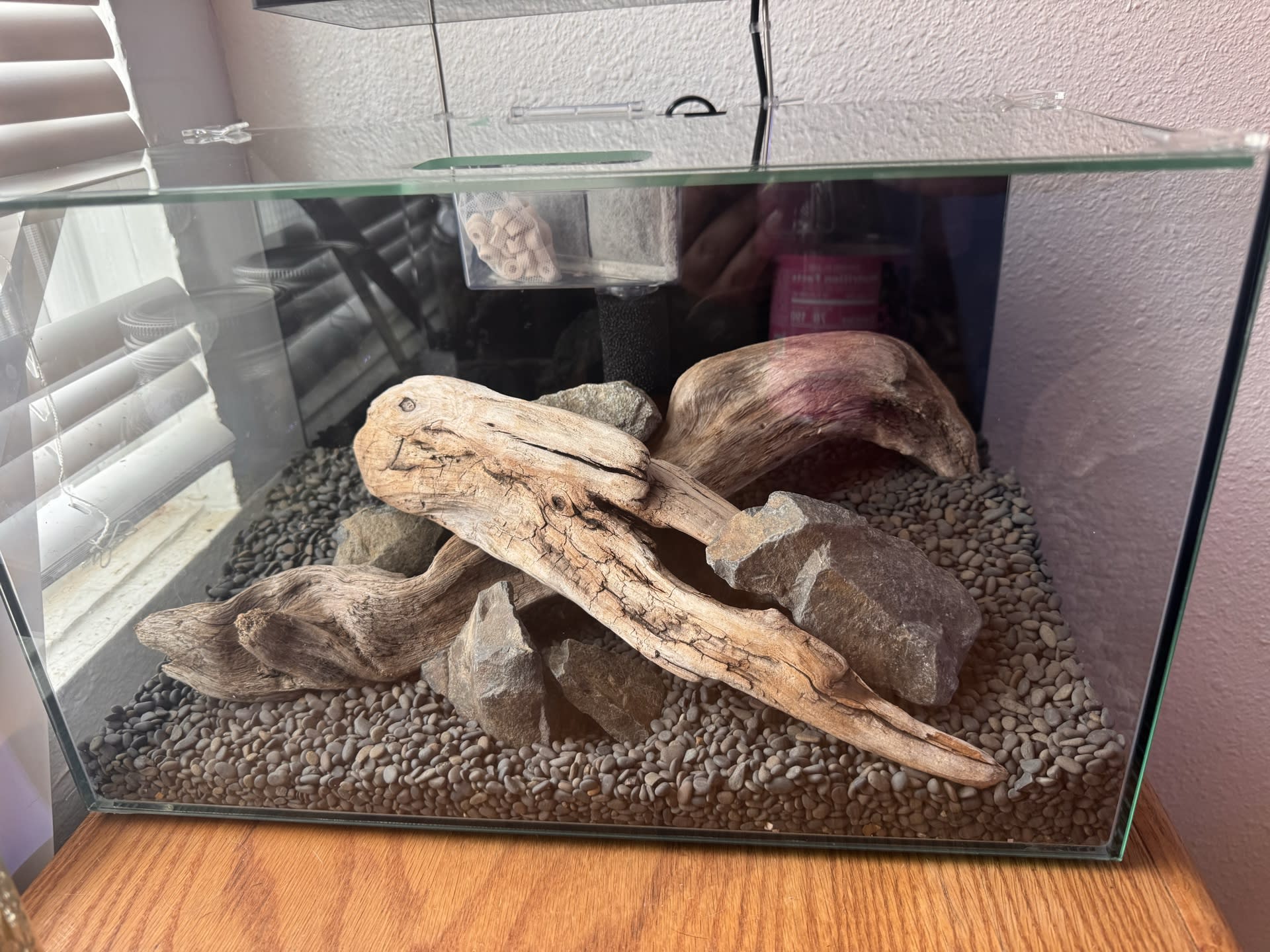 Shrimp Tank
