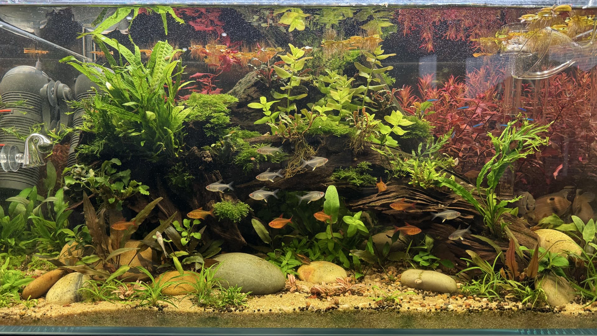 First Tank
