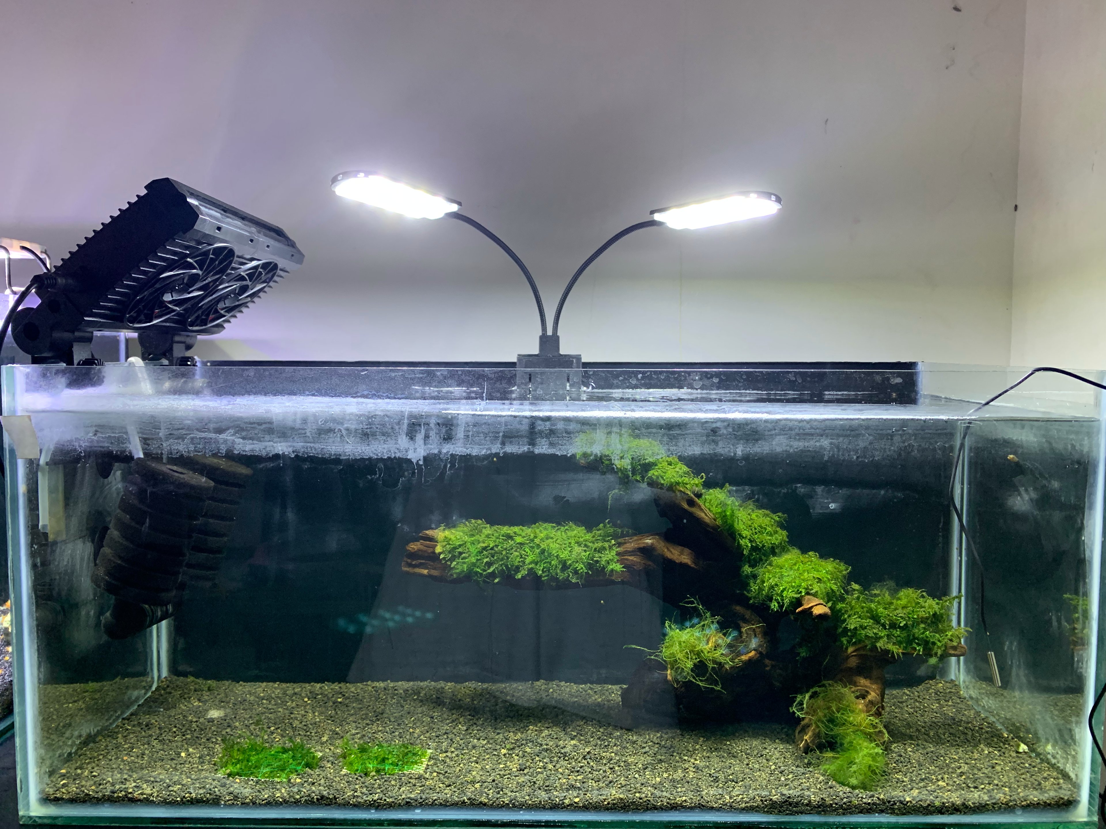 Orange Sunkist Tank