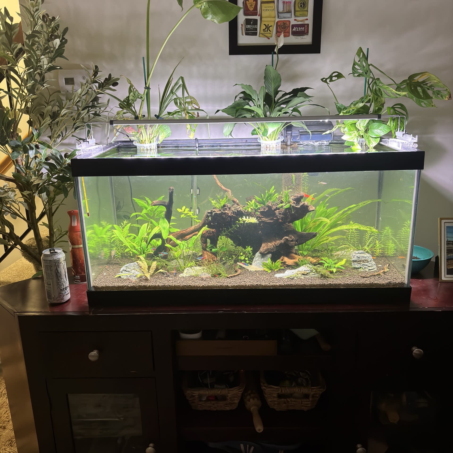 Community Tank
