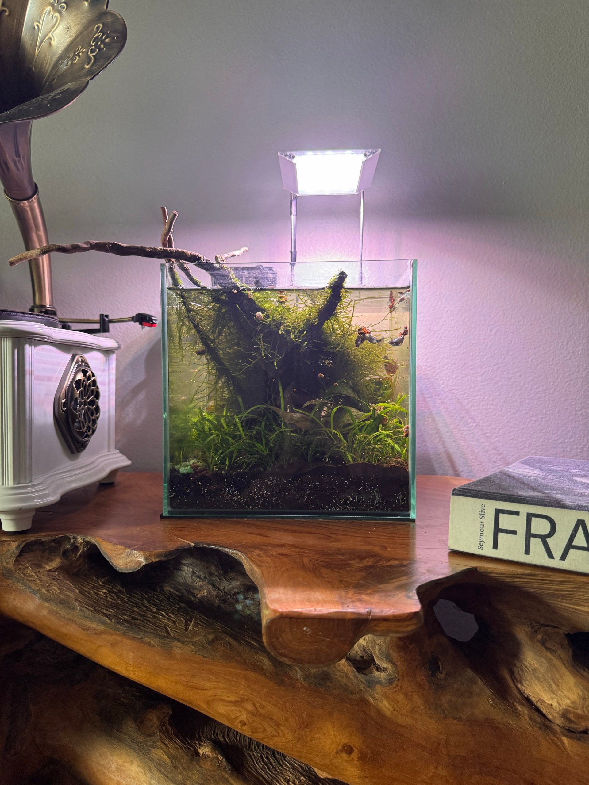 Biocube