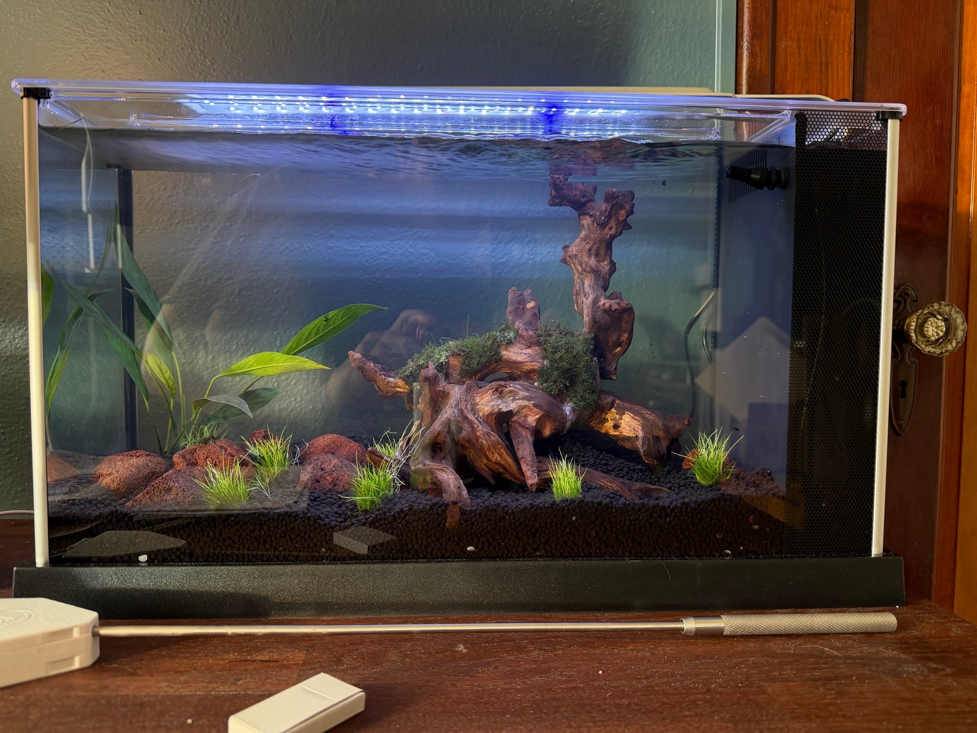 Desk Aquarium