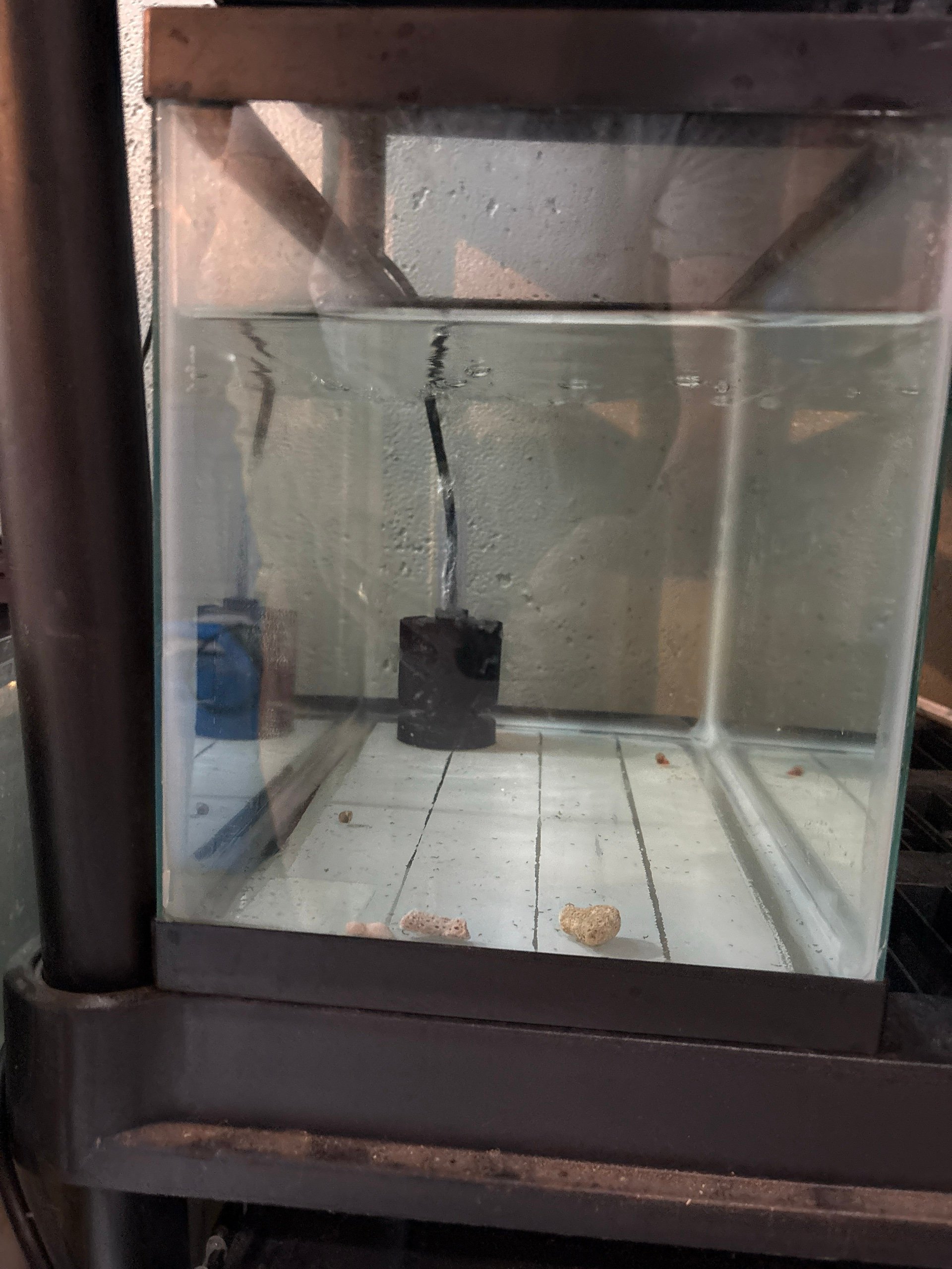 Basement Furnace Bottom