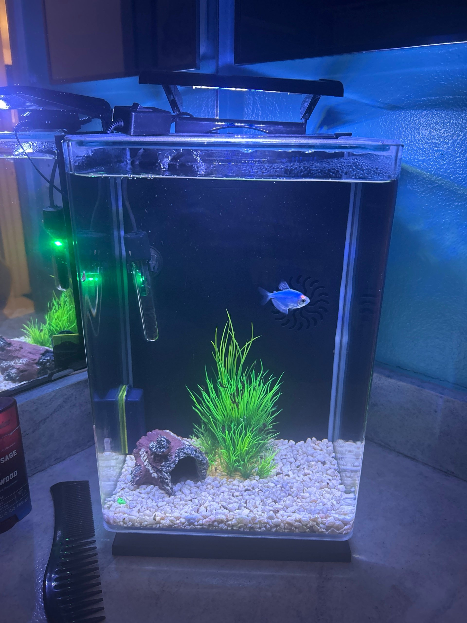 Bathroom Tank