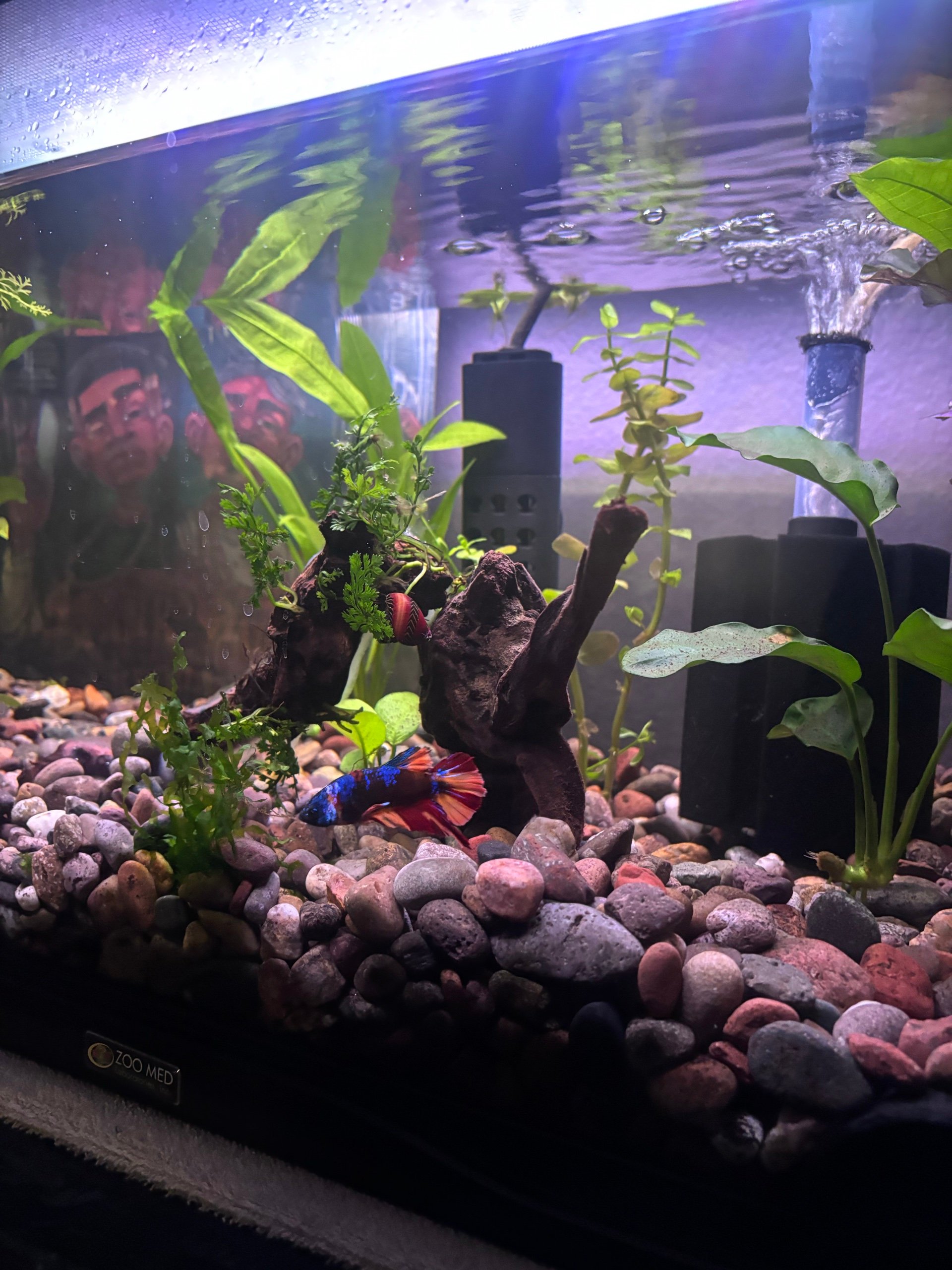 Haku/Turbo