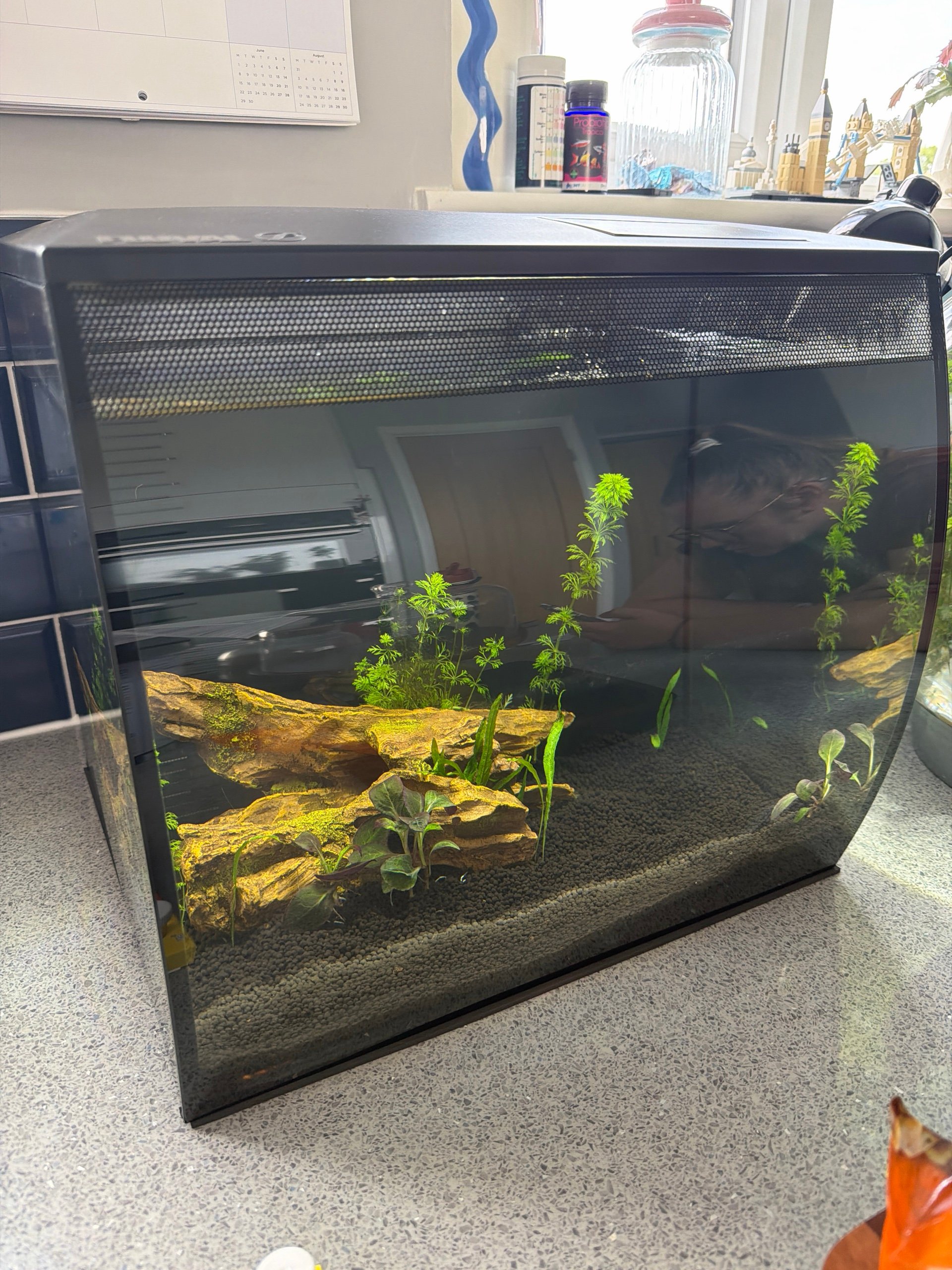 Kitchen tank