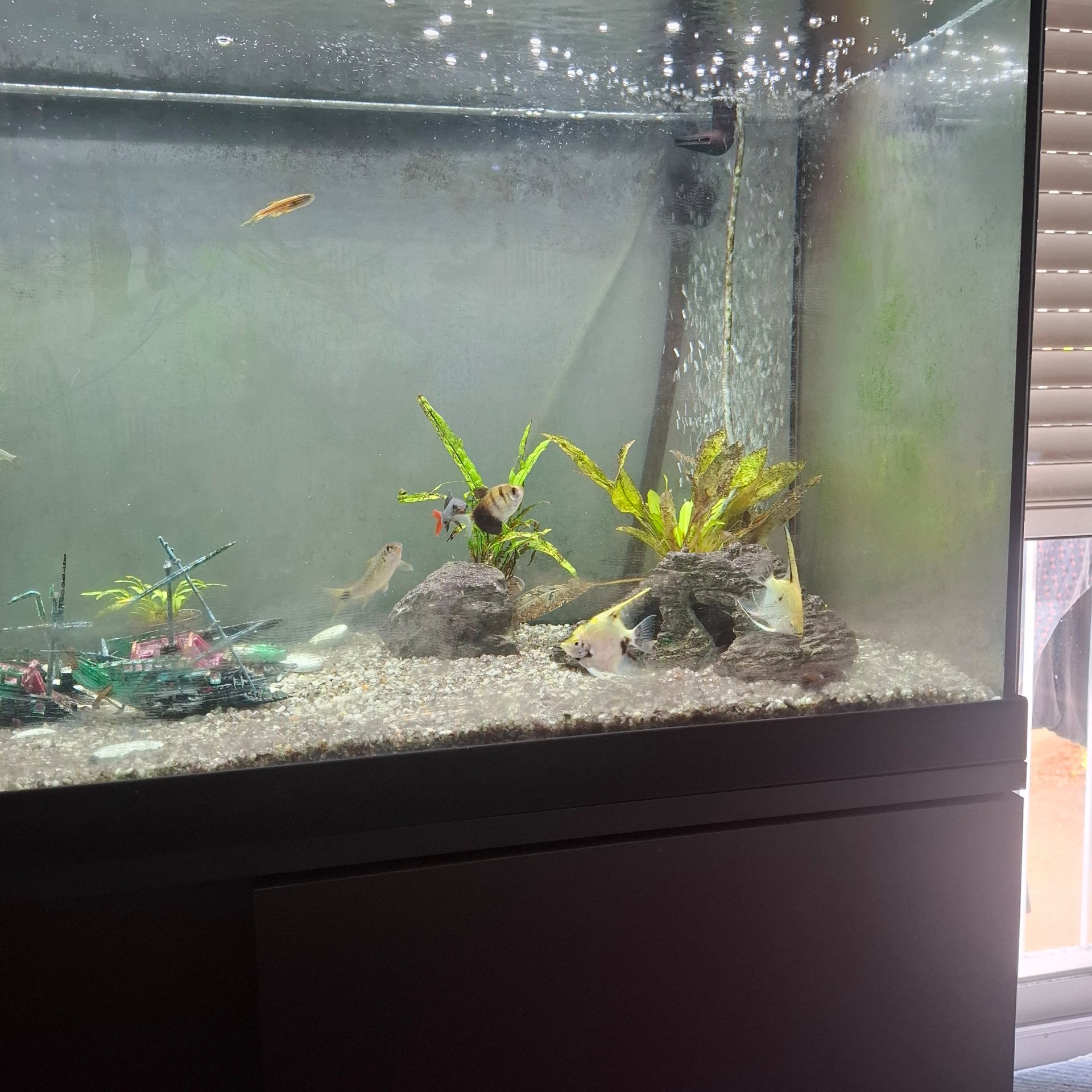 Kev's Tank