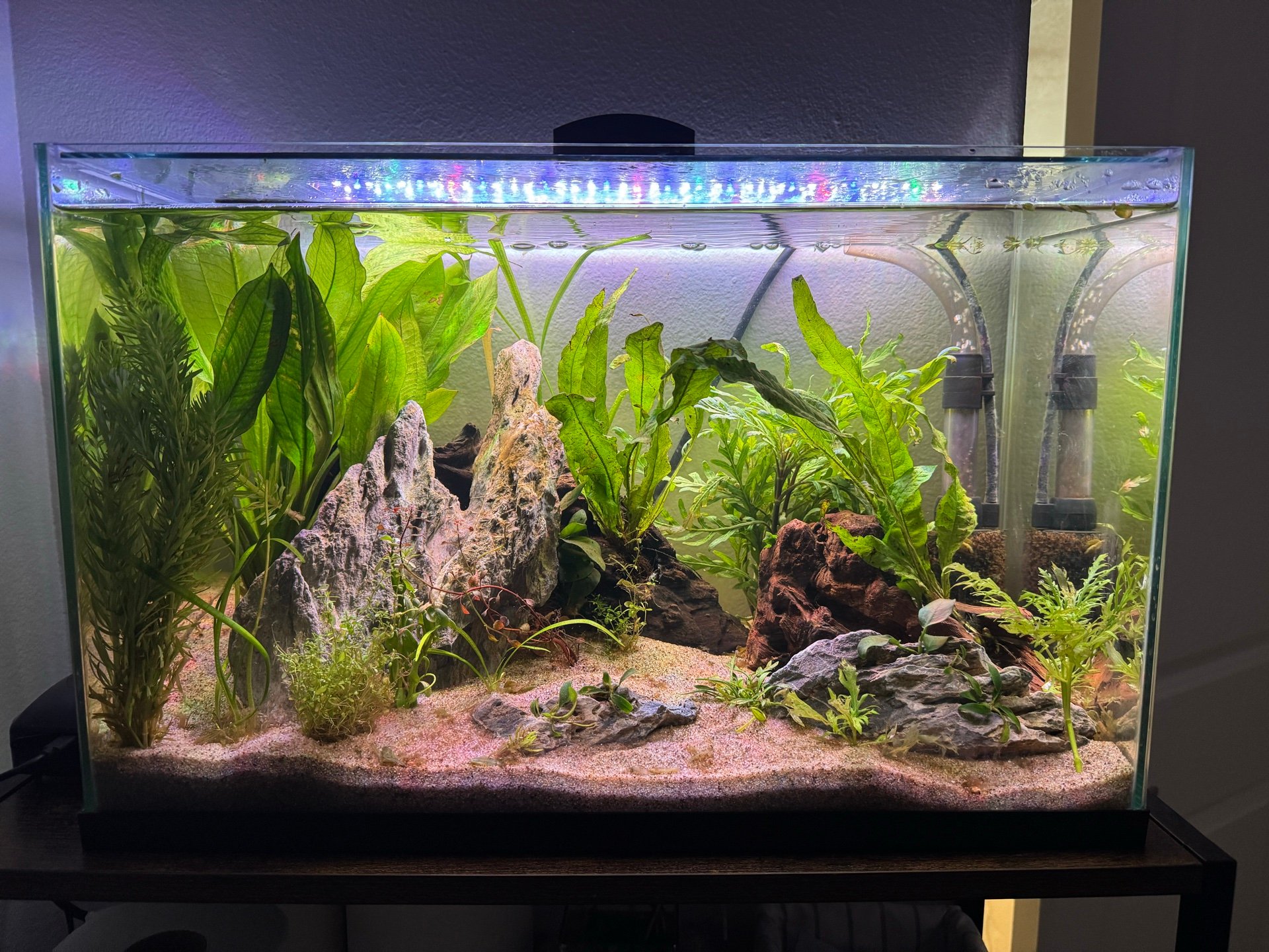 Tank 101