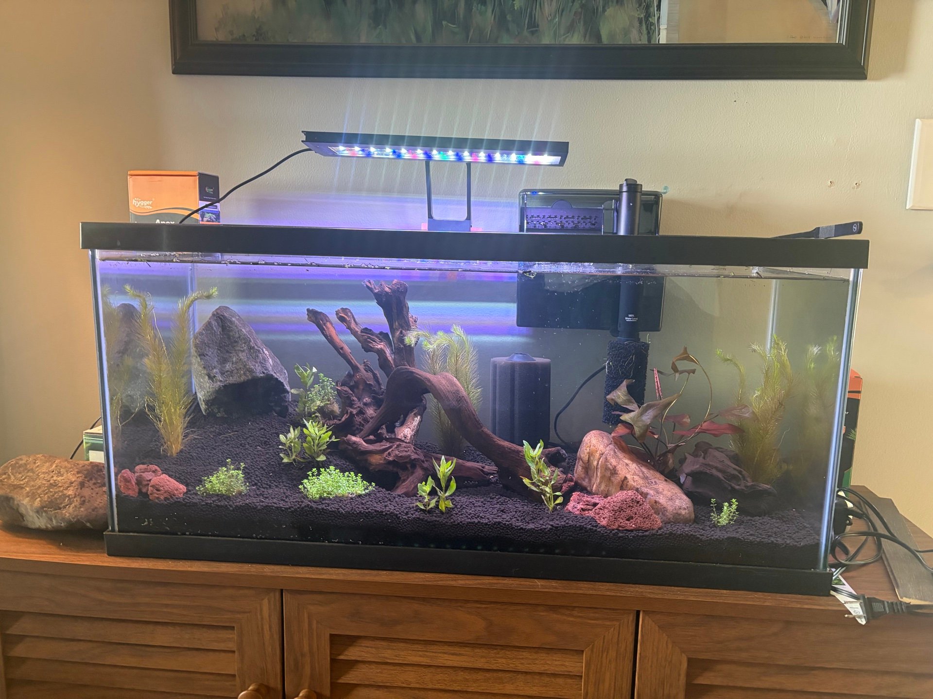 Community Tank
