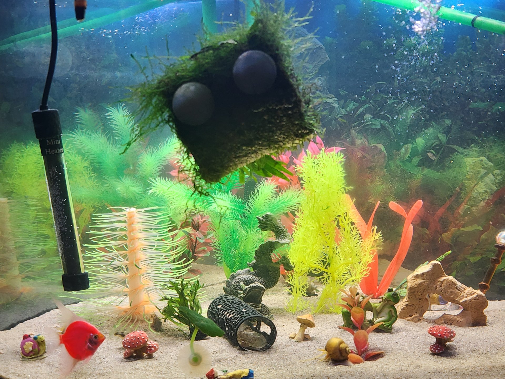 29Gal Curve Front