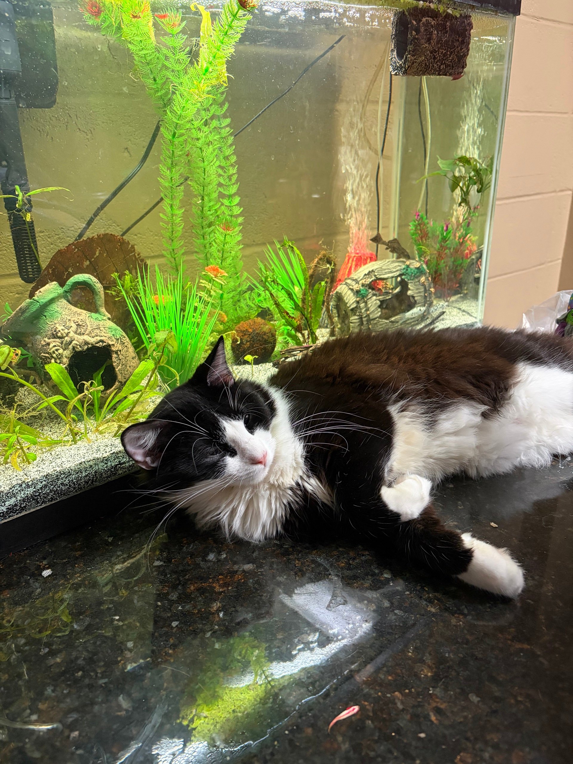 30 Gal