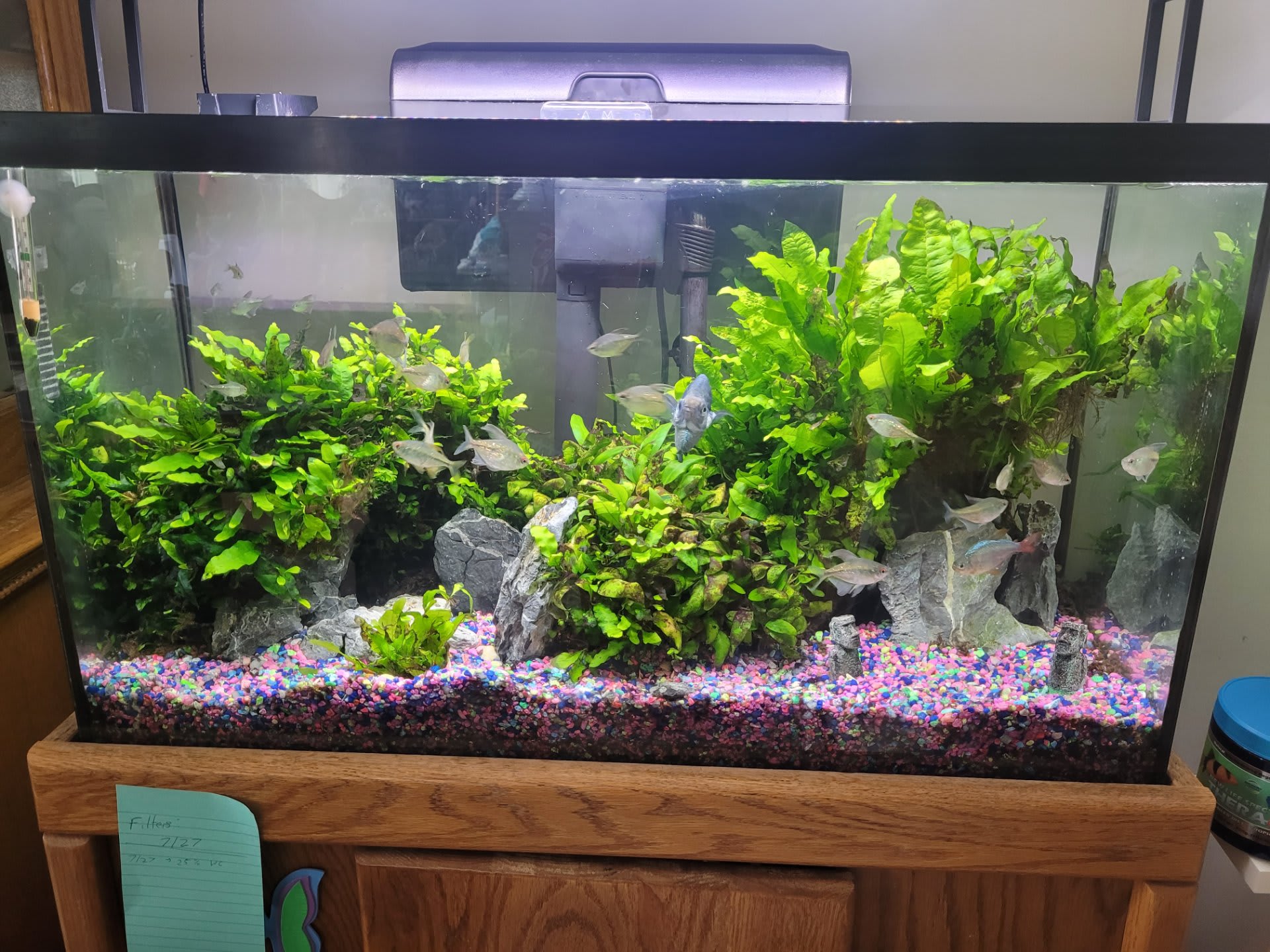 Family Aquarium
