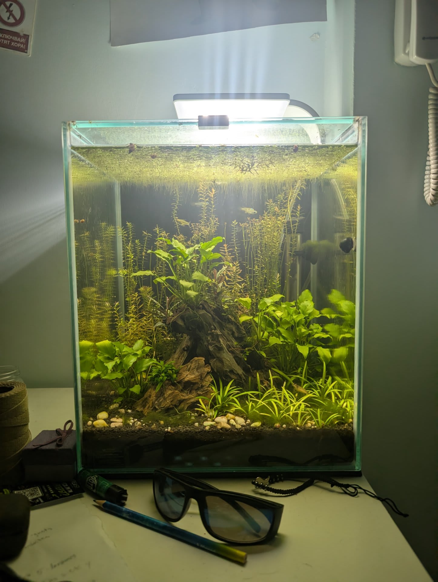 Aquarium