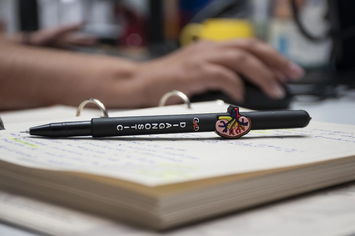 Desarrollo de Canales