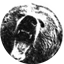 Image of BEAR