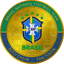 Brazil National Football Team Fan Token