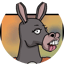 Image of BURRO