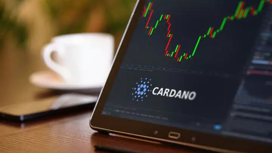 A Closer Look at the Value of Cardano