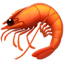 Bild von SHRIMP