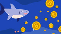 Whales Shift Their Focus to Small-Cap Altcoins; Should Large-Cap Coins be Worried?
