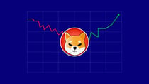 Shiba Inu Price Analysis: Here are the Levels For SHIB Prices this Month!