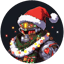 Slika sredstva XMAS