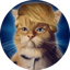 Bild von TRUMPCAT