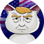 Image of TRUMP CAT