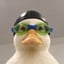 Image of NASDUCK