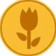 Görsel: TULIP