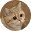 Image of HELIA