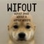 Image of WIFOUT