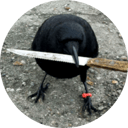 crow with knife