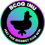 Image of BCOQ