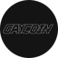 Image of GAYCOIN