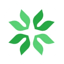 Image of MSHA
