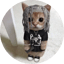 Image de RAPCAT