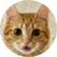 Image of TORI