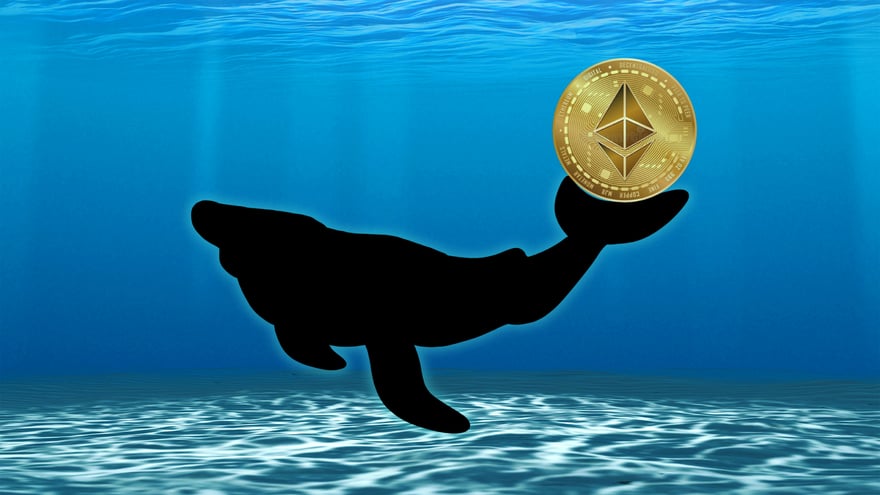 Ethereum Whales Sell 6,900 ETH Triggering Concern Amongst Traders, But What Are They Buying?