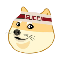 Imagem de GUCCIV2